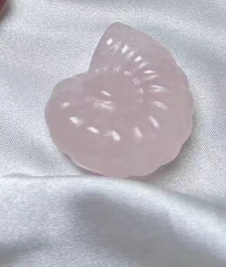 πππ¦π π‘πππ πππ π πππ ππππ£πππ