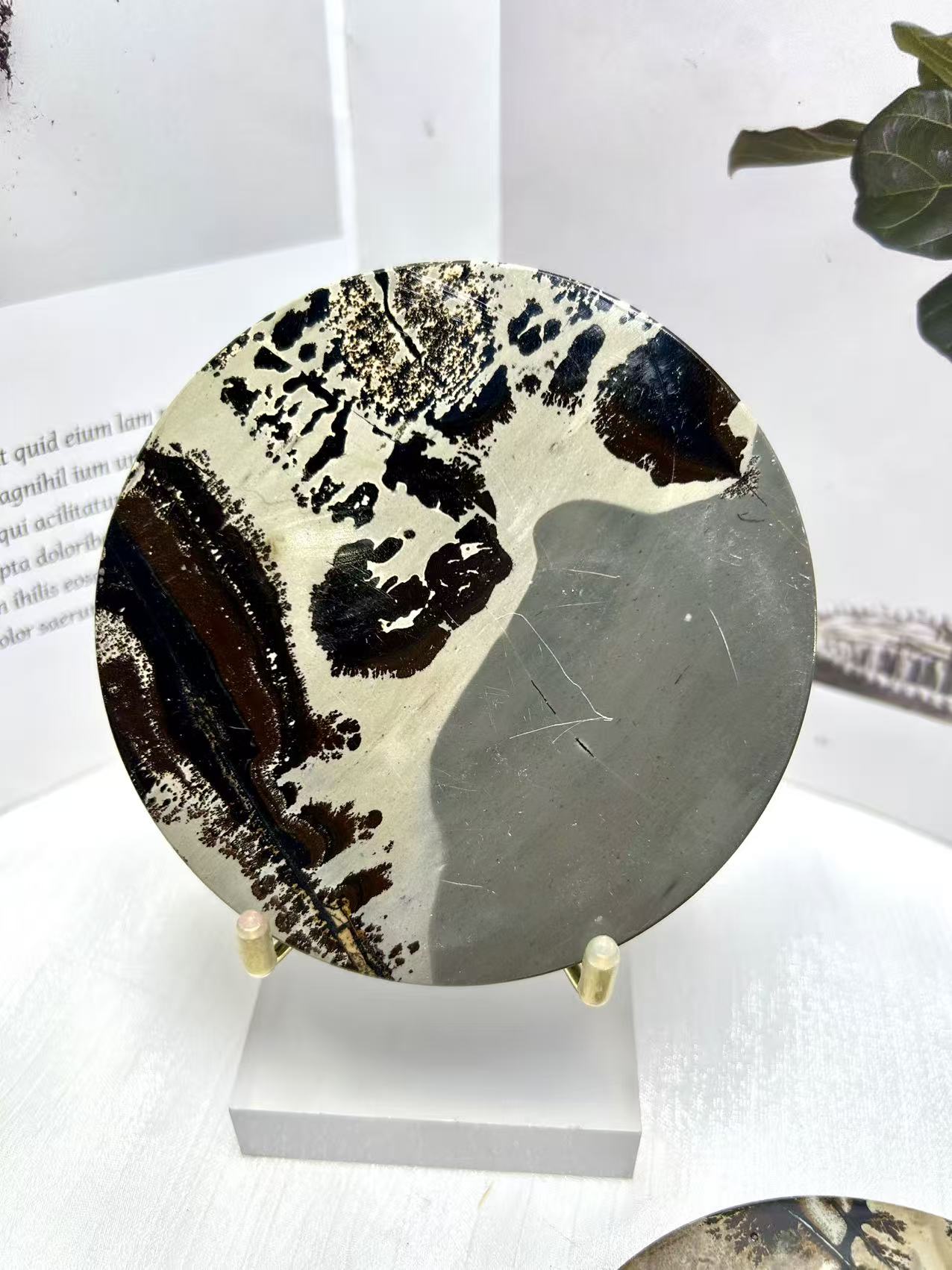 ππππ‘π’ππ π½ππ πππ ππ π π‘πππ