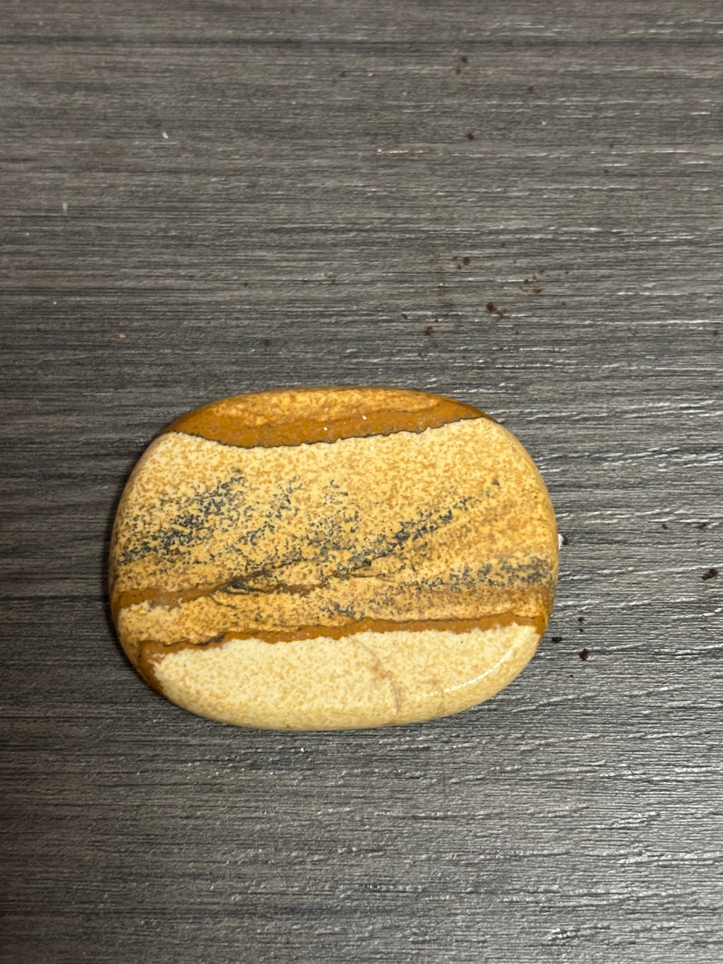 πΉπππ‘π ππππ πππππ’π