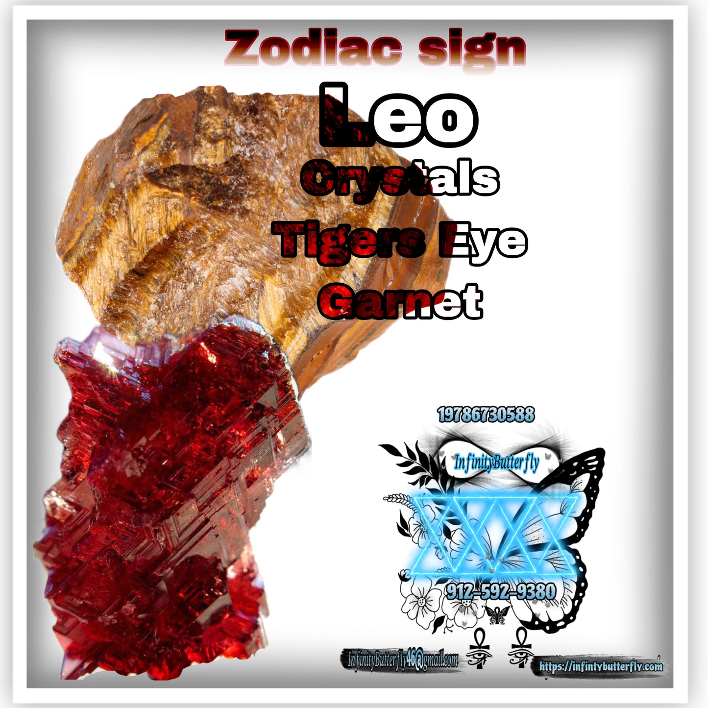 ππππππ π΅π’ππππ