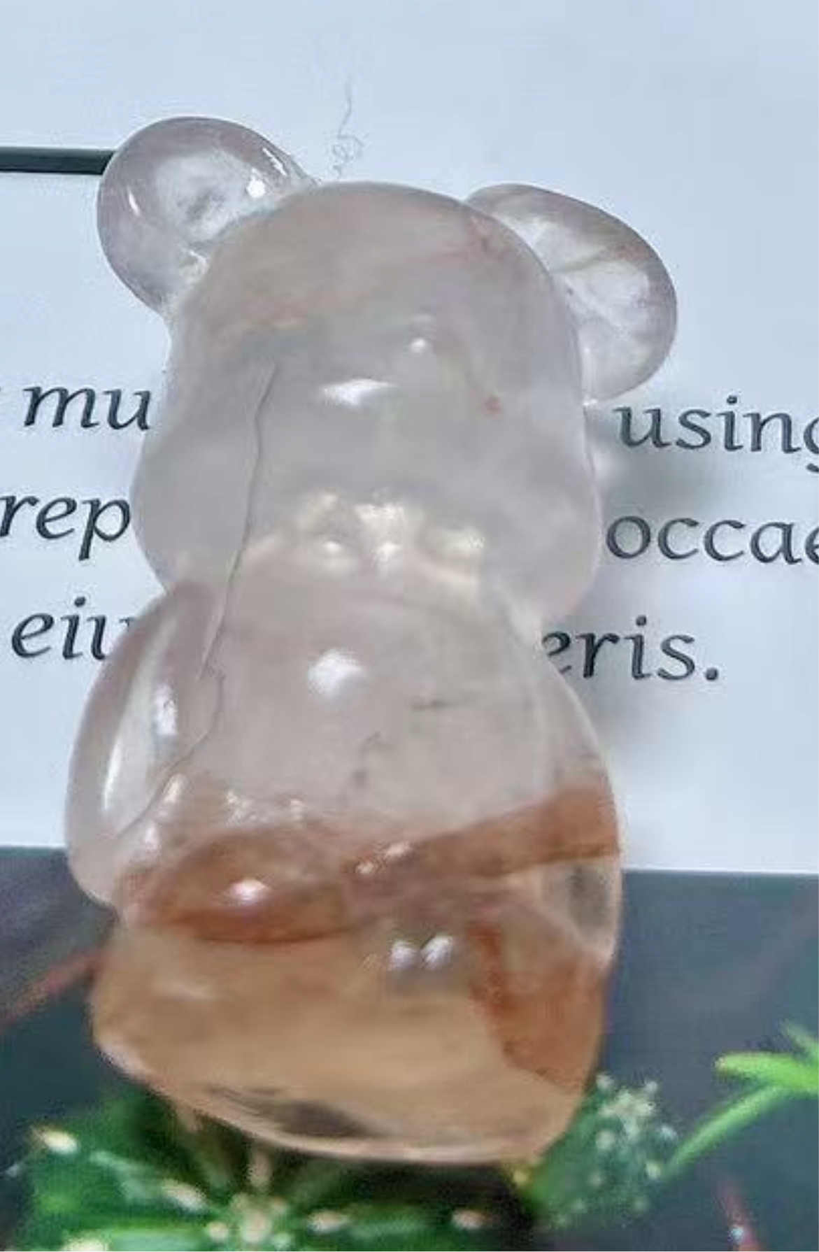 𝐺𝑙𝑜𝑜𝑚𝑦 𝐵𝑒𝑎𝑟 𝑐𝑎𝑟𝑣𝑖𝑛𝑔
