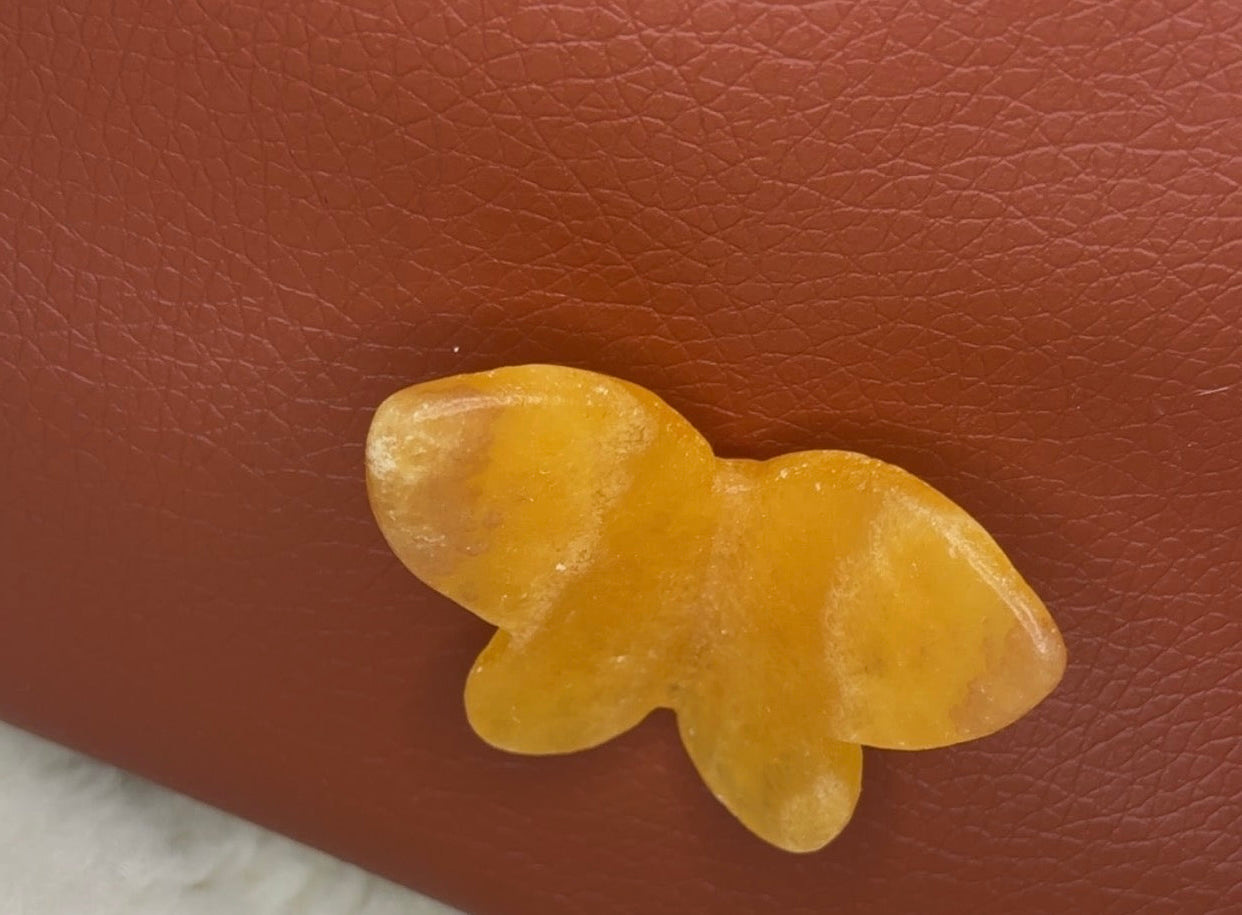 3𝐷 𝐵𝑢𝑡𝑡𝑟𝑟𝑓𝑙𝑦 1