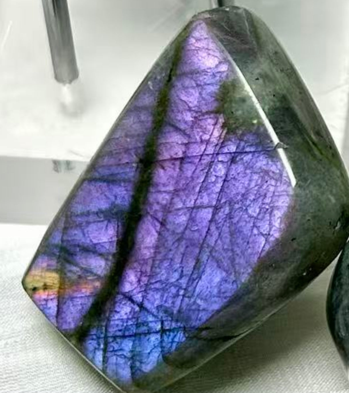 𝐿𝑎𝑏𝑟𝑎𝑑𝑜𝑟𝑖𝑡𝑒 𝐹𝑟𝑒𝑒𝑓𝑜𝑟𝑚