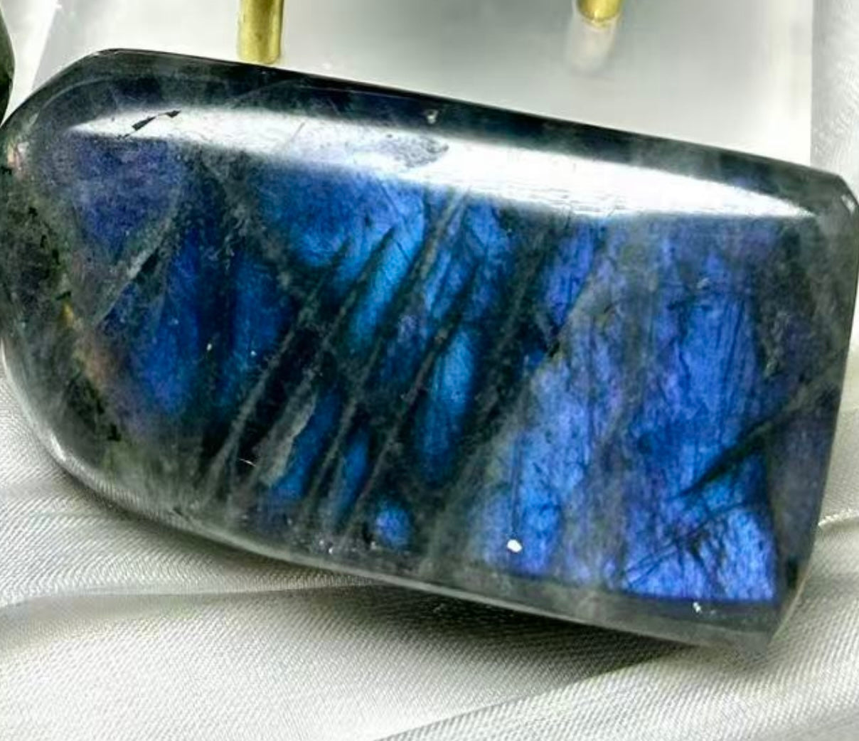 𝐿𝑎𝑏𝑟𝑎𝑑𝑜𝑟𝑖𝑡𝑒 𝐹𝑟𝑒𝑒𝑓𝑜𝑟𝑚