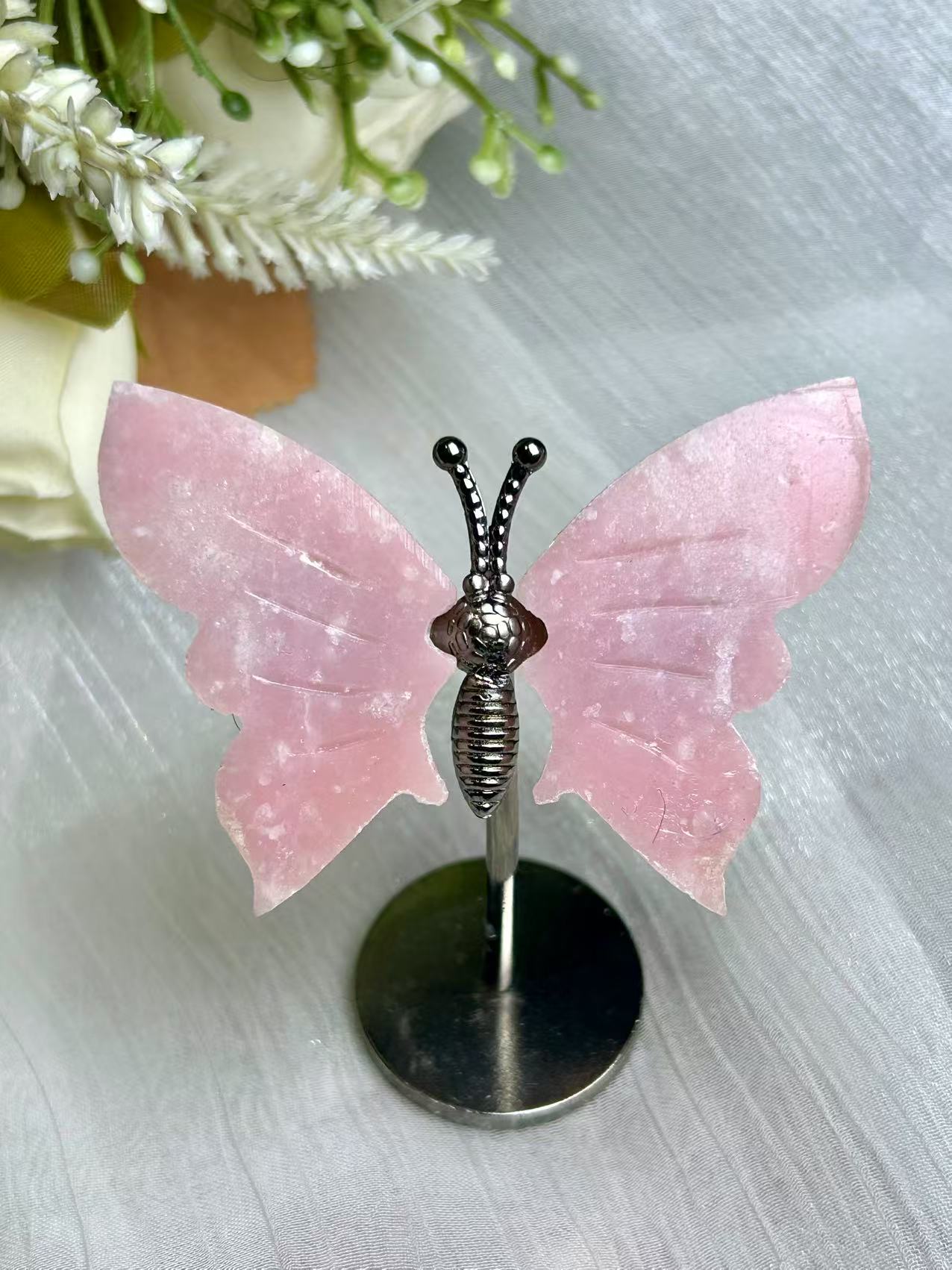 𝐵𝑢𝑡𝑡𝑒𝑟𝑓𝑙𝑦 𝑂𝑛 𝑆𝑡𝑎𝑛𝑑