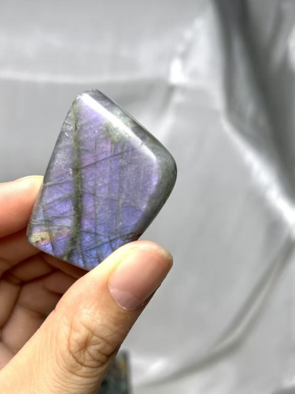 𝐿𝑎𝑏𝑟𝑎𝑑𝑜𝑟𝑖𝑡𝑒 𝐹𝑟𝑒𝑒𝑓𝑜𝑟𝑚