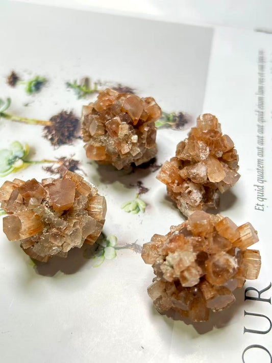 𝐴𝑟𝑎𝑔𝑜𝑛𝑖𝑡𝑒