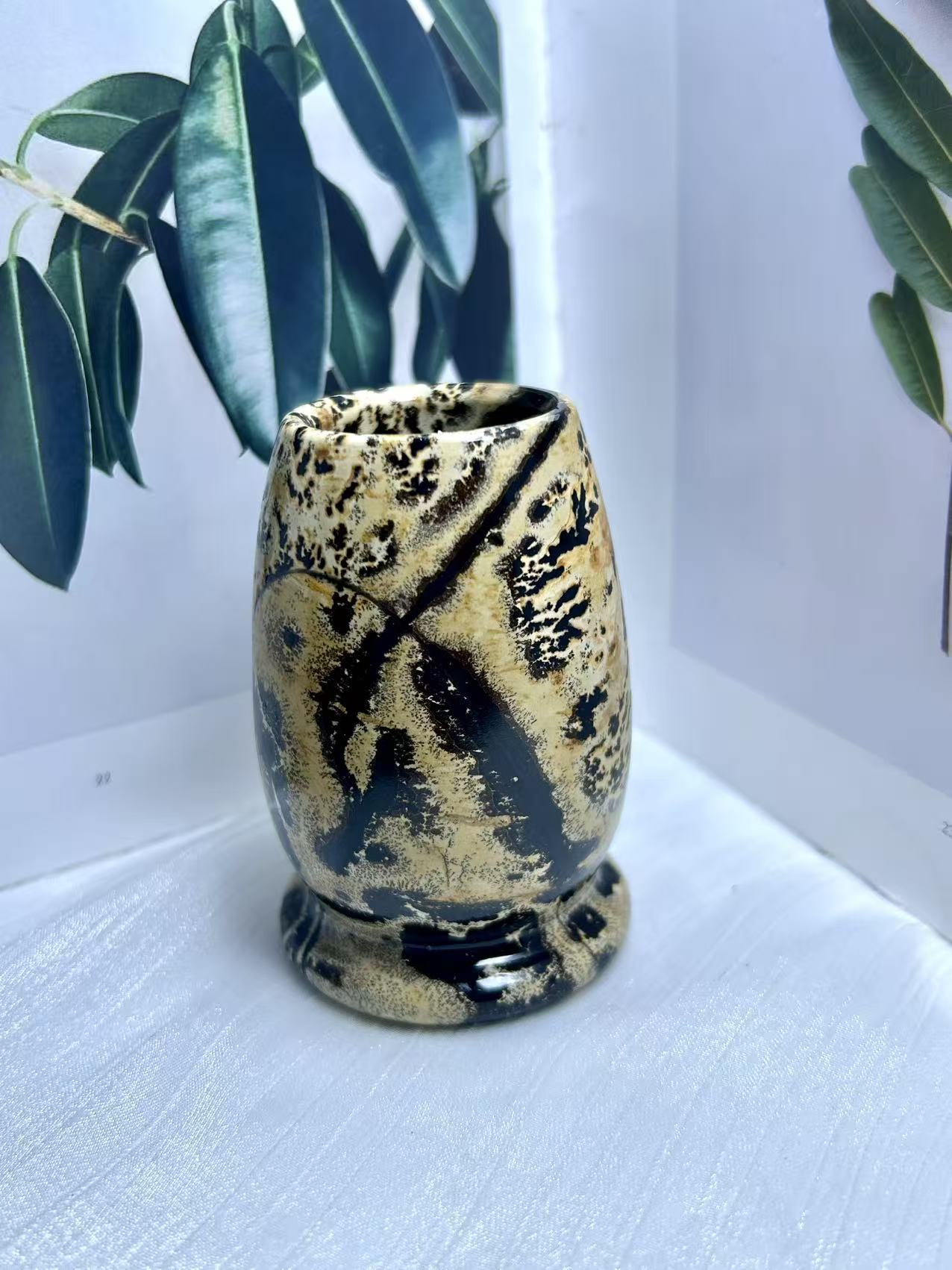 𝑃𝑖𝑐𝑡𝑢𝑟𝑒 𝐽𝑎𝑠𝑝𝑒𝑟 𝐺𝑙𝑎𝑠𝑠