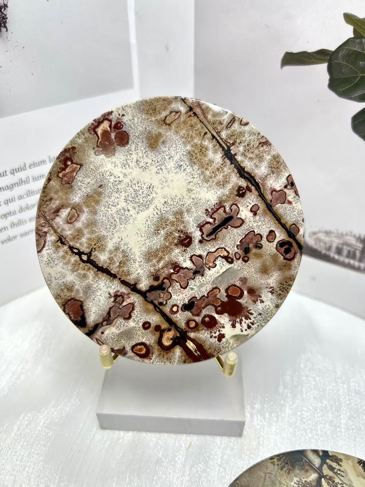 𝑃𝑖𝑐𝑡𝑢𝑟𝑒 𝐽𝑎𝑠𝑝𝑒𝑟 𝑜𝑛 𝑠𝑡𝑎𝑛𝑑