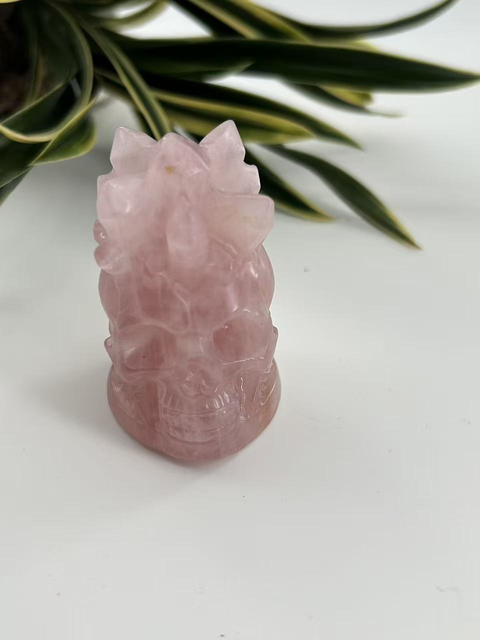𝑪𝒓𝒚𝒔𝒕𝒂𝒍 𝑺𝒌𝒖𝒍𝒍 𝑯𝒆𝒂𝒅𝒔
