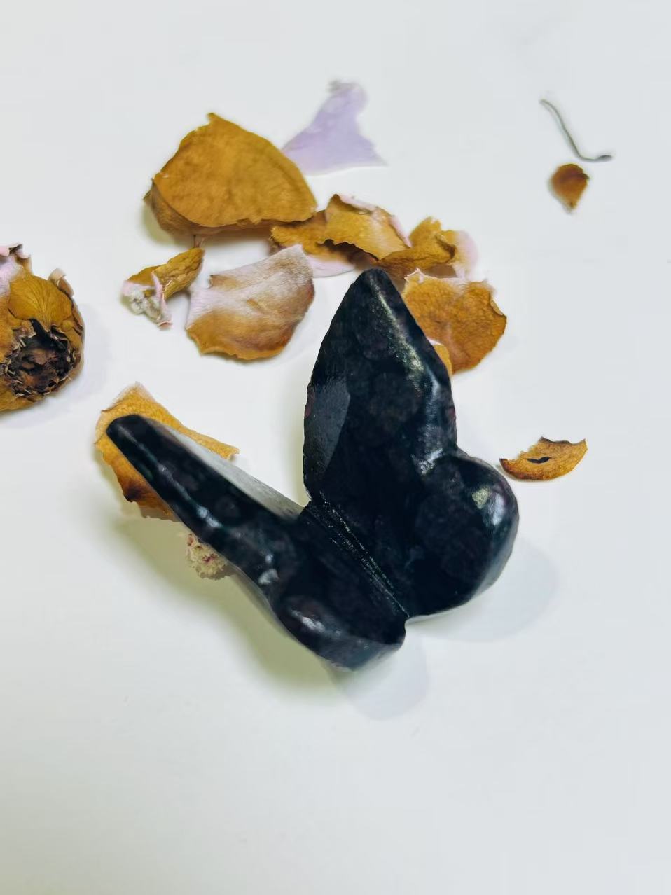 3𝐷 𝐵𝑢𝑡𝑡𝑒𝑟𝑓𝑙𝑦 𝑠𝑚𝑎𝑙𝑙