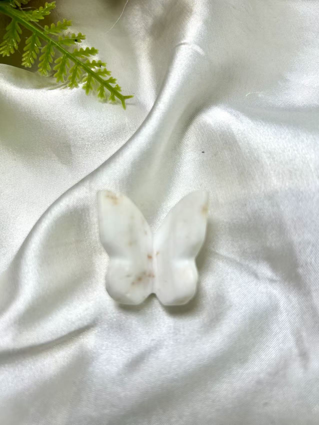 3𝐷 𝐵𝑢𝑡𝑡𝑒𝑟𝑓𝑙𝑦 𝑠𝑚𝑎𝑙𝑙