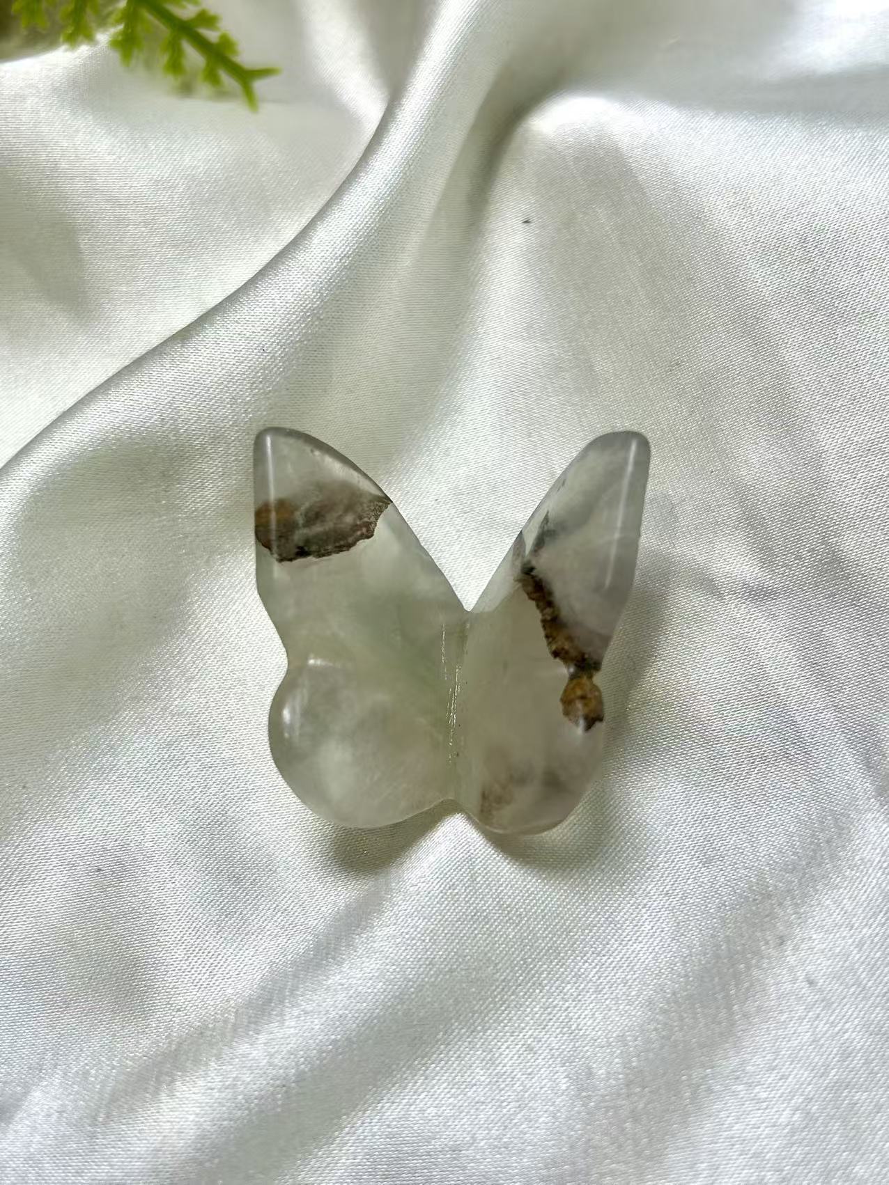 3𝐷 𝐵𝑢𝑡𝑡𝑒𝑟𝑓𝑙𝑦 𝑠𝑚𝑎𝑙𝑙